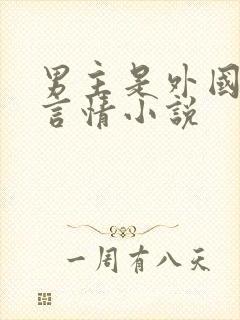 男主是外国人的言情小说封面