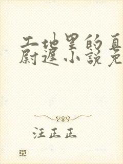 工地里的直男们尉迟小说免费阅读