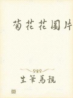 菊花花图片大全