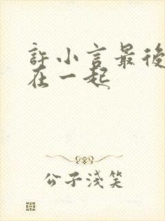 许小言最后和谁在一起封面