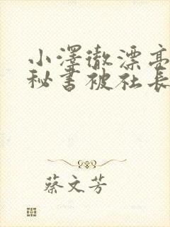 小泽彻漂亮人妻秘书被社长侵犯