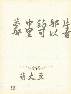 梦中的那片海在哪里可以看全集