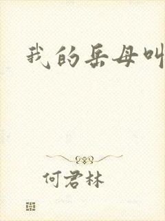 我的岳母叫周晴