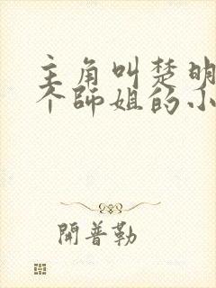 主角叫楚明有七个师姐的小说封面