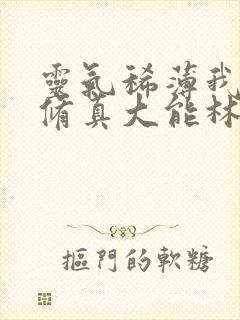 灵气稀薄我却成修真大能林峰小说封面