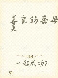 善良的岳母李恩美