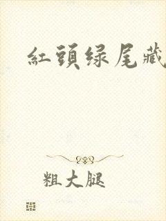 红头绿尾藏特码