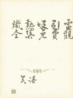 炽热吸引电视剧全集免费观看23集