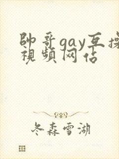 帅哥gay互操视频网站