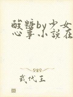 酸糖by少女的心事小说在线阅读全文