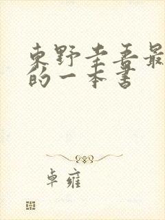 东野圭吾最好看的一本书封面