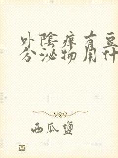 外阴痒有豆腐渣分泌物用什么药