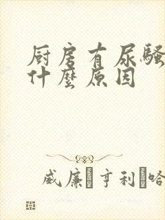 厨房有尿骚味是什么原因