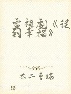 电视剧《从爱情到幸福》