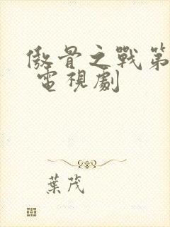 傲骨之战第二季 电视剧封面