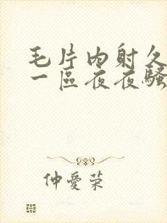 毛片内射久久久一区夜夜骚