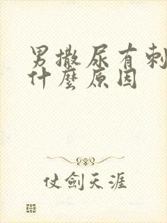 男撒尿有刺痛感什么原因封面