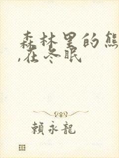 森林里的熊先生,在冬眠封面