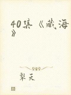 40集《藏海传》封面