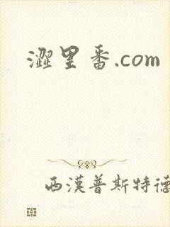 涩里番.com