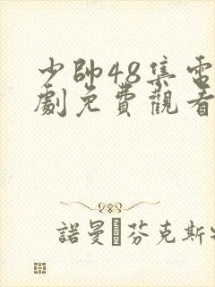 少帅48集电视剧免费观看