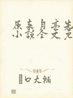 原来月亮先动心小说全文免费阅读