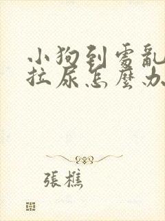 小狗到处乱拉屎拉尿怎么办