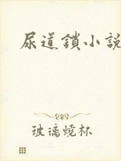 尿道锁小说封面