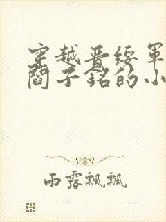 穿越晋绥军少帅阎子铭的小说