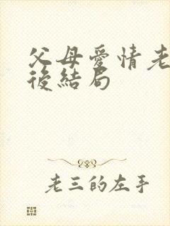 父母爱情老丁最后结局