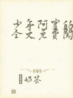 少年阿宾的故事全文免费阅读