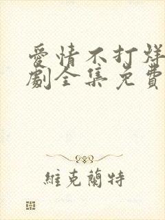 爱情不打烊电视剧全集免费观看