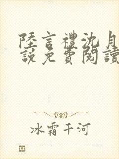 陆言礼沈月慈小说免费阅读最新章节封面