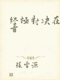 终极对决在线观看