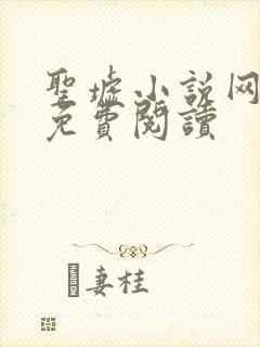 圣墟小说网全文免费阅读