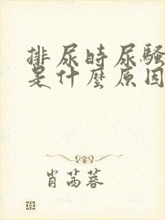 排尿时尿骚味重是什么原因