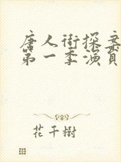 唐人街探案网剧第一季演员表