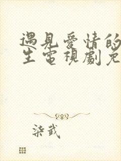 遇见爱情的利先生电视剧免费观看全集封面