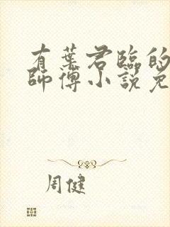 有叶君临的九位师傅小说免费阅读