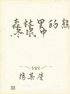 森林里的熊先生.冬眠中封面