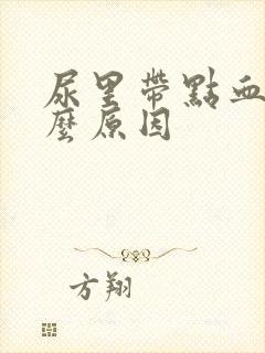 尿里带点血是什么原因