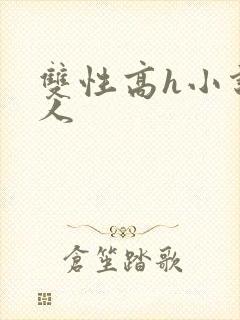 双性高h小说多人封面