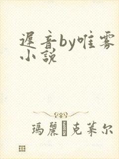 迟音by唯雾的小说