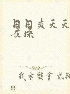 日日爽天天操夜夜操