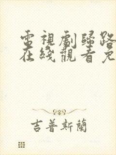 电视剧归路全集在线观看免费封面