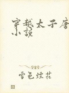 穿越太子唐羽的小说