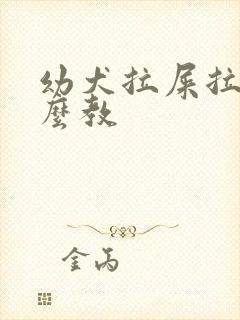 幼犬拉屎拉尿怎么教