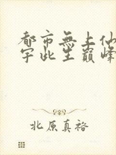 都市无上仙尊苏宇此生巅峰