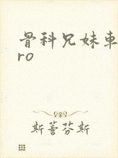 骨科兄妹车多pro