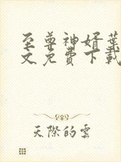 至尊神婿叶昊全文免费下载